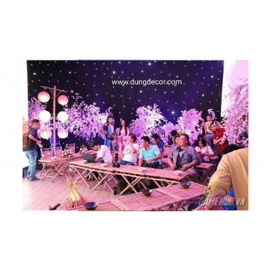 cảnh đào hội quán